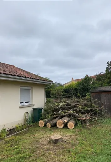 Illustration après démontage de l’arbre